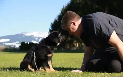 Sei nett zu deinem Hund